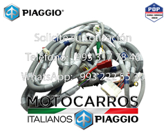 Piaggio Arnes Electrico Central con Switch Neutral [B077685]