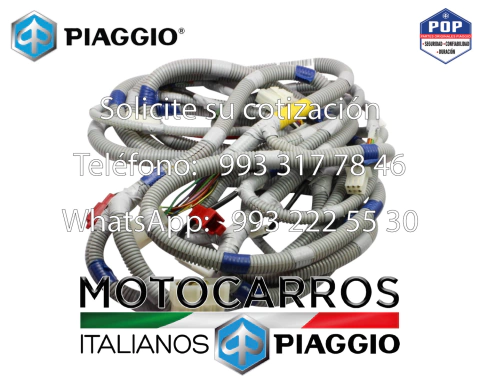 Piaggio Arnes Electrico Central [B077691] Gas LP