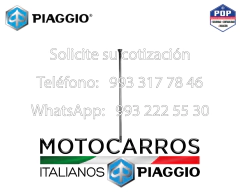 Piaggio Varillas Punterias Admision/Escape [E43507359] (kit) (BSIII) - comprar en línea