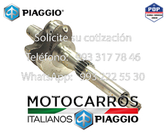Piaggio Ciguenal Basico [E43510715P] (BSIV) (Xtra 2019-) en internet