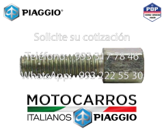 Piaggio Tornillo Calibrador Chicotes m6 [E50000452]