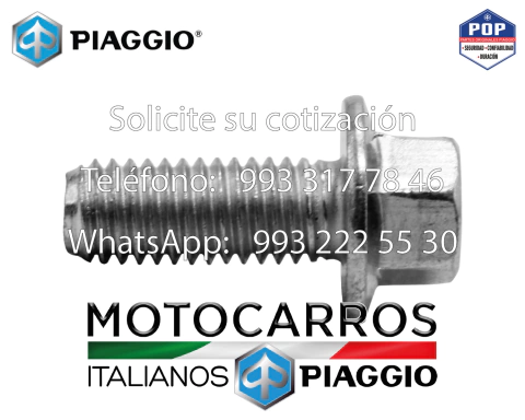 Piaggio Tornillo Flange m8x22 [E50002805]
