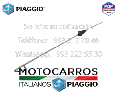 Piaggio Tapon Varilla Nivel Aceite Motor [E52008924] en internet