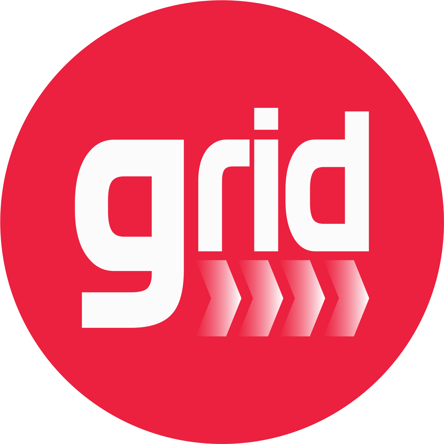 Grid - Fórmula 1 Fanshop