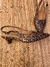 ISLA ANIMAL PRINT - Cordoba Shoes 