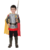 Menino vestido de fantasia de príncipe guerreiro medieval, segurando uma espada, com capa vermelha e detalhes em dourado.