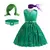 Fantasia infantil completa com vestido verde, faixa roxa e peruca verde, inspirada no personagem Nojinho do filme Divertidamente.