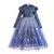 Imagem do Fantasia Elsa Frozen Infantil Modelo Outono