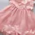 Vestido Princesa Infantil com Petálas de Flor - loja online