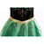 Imagem do Vestido Elsa Anna Frozen Infantil com Acessórios