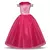 Imagem do Fantasia Bela Adormecida Aurora Infantil com Acessórios