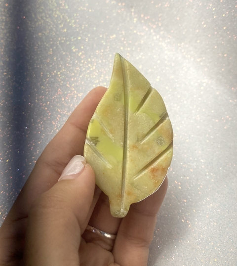 Hojas de jade chicas