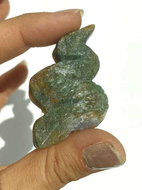 Serpientes jaspe óceano