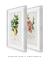 Kit 2 Quadros Charles Dessalines Lemon e Quince - Moderna Quadros Decorativos | Cupom Aqui