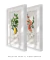 Kit 2 Quadros Charles Dessalines Lemon e Quince - loja online