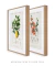 Kit 2 Quadros Charles Dessalines Lemon e Quince - comprar online