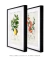 Kit 2 Quadros Charles Dessalines Lemon e Quince - comprar online