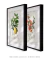 Kit 2 Quadros Charles Dessalines Lemon e Quince na internet
