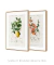 Kit 2 Quadros Charles Dessalines Lemon e Quince
