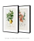 Kit 2 Quadros Charles Dessalines Lemon e Quince - Moderna Quadros Decorativos | Cupom Aqui