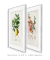 Kit 2 Quadros Charles Dessalines Lemon e Quince - loja online