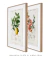 Kit 2 Quadros Charles Dessalines Lemon e Quince - comprar online