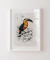 Quadro Decorativo Charles Dessalines Toucan (Ramphastos) (1806-1876) - comprar online