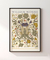 Quadro Decorativo William Morris Classic Pattern 011 - loja online
