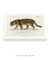 Imagem do Quadro Decorativo Charles Dessalines Jaguar Horizontal