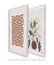 composição 2 quadros - volta no.11 + floralis no.1 - comprar online