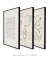 composição 3 quadros - mulan no.1 + brasilidade no.8 + volta no.8 - comprar online