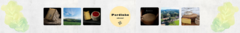 Banner da categoria Pardinho