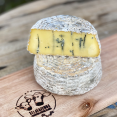 Queijo Azul de Bofete - Bela Fazenda