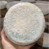 Queijo Bem Brasil - Bela Fazenda