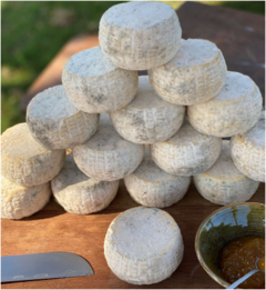 Queijo Benzinho - Bela Fazenda - comprar online