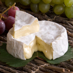 Queijo Camembert 1kg - Pomerode - comprar online
