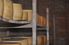 Queijo Tulha - Fazenda Atalaia na internet