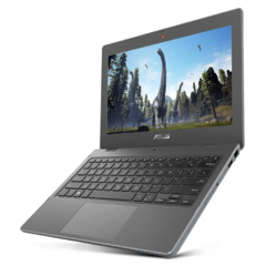 NOTEBOOK 11.6" ASUS CELERON/128GB/4GB BR1100K - comprar online