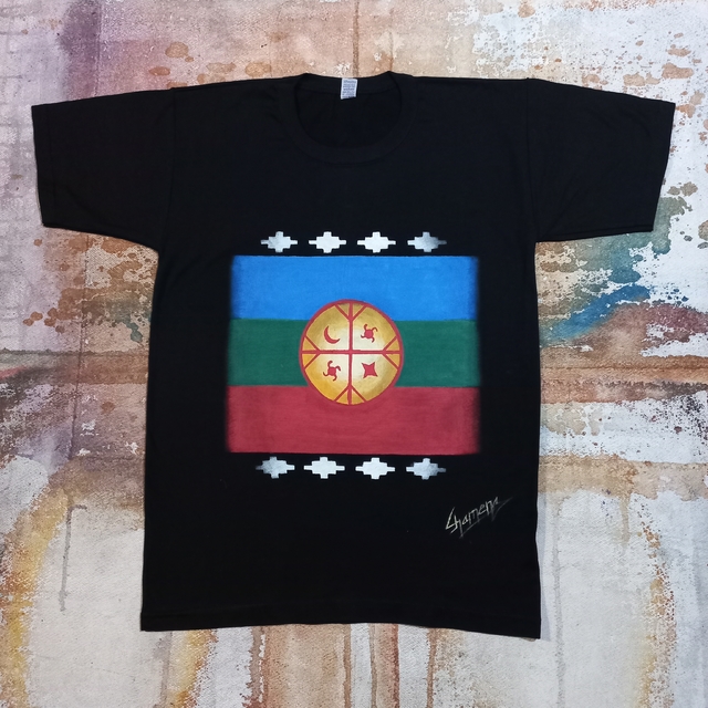 Remera De La Bandera Mapuche Weñufoye Pintada A Mano thumbnail 2