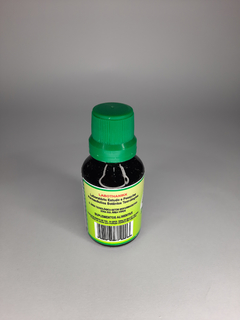 Extrato de Amora 30ml na internet