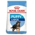 ROYAL CANIN CACHORRO RAZA GRANDE