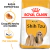 ROYAL CANIN SHIH TZU - comprar en línea