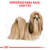 Imagen de ROYAL CANIN SHIH TZU