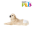 PAÑALES PARA PERRO CHICO 12 PZ en internet
