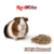 ALIMENTO PARA CUYOS 850 g - ShellerPet