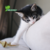 JUGUETE ECO PARA GATO BOLA PLUMAS - comprar en línea