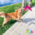 JUGUETE DE CAUCHO BOOMERANG en internet