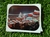 Imagen de Stickers