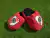 Pantuflones 2024 - riverlugano