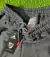 Short gameday algodon 2024 - comprar online